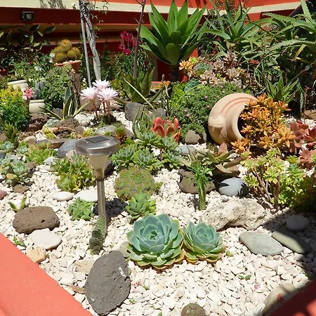 Bed & Breakfast Il Mirto Oristano