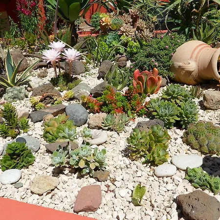 Bed & Breakfast Il Mirto Oristano