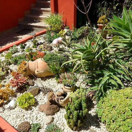 Bed & Breakfast Il Mirto 4*