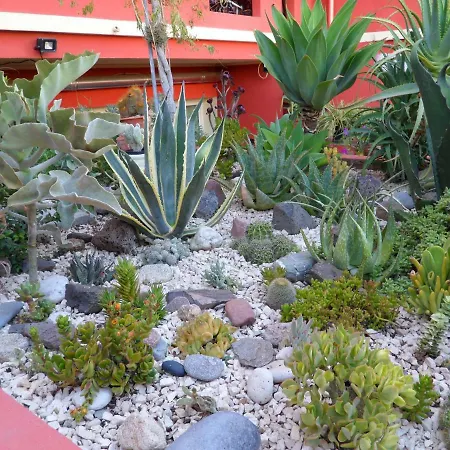 Bed & Breakfast Il Mirto Oristano