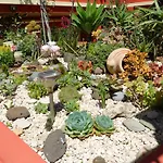 Bed & Breakfast Il Mirto Oristano