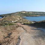 Il Mirto